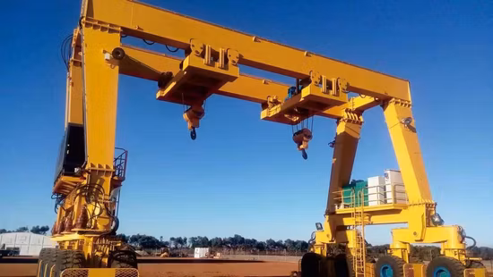100t Professional Hydraulic Gantry Crane for Boat Lift