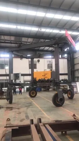 100t Professional Hydraulic Gantry Crane for Boat Lift